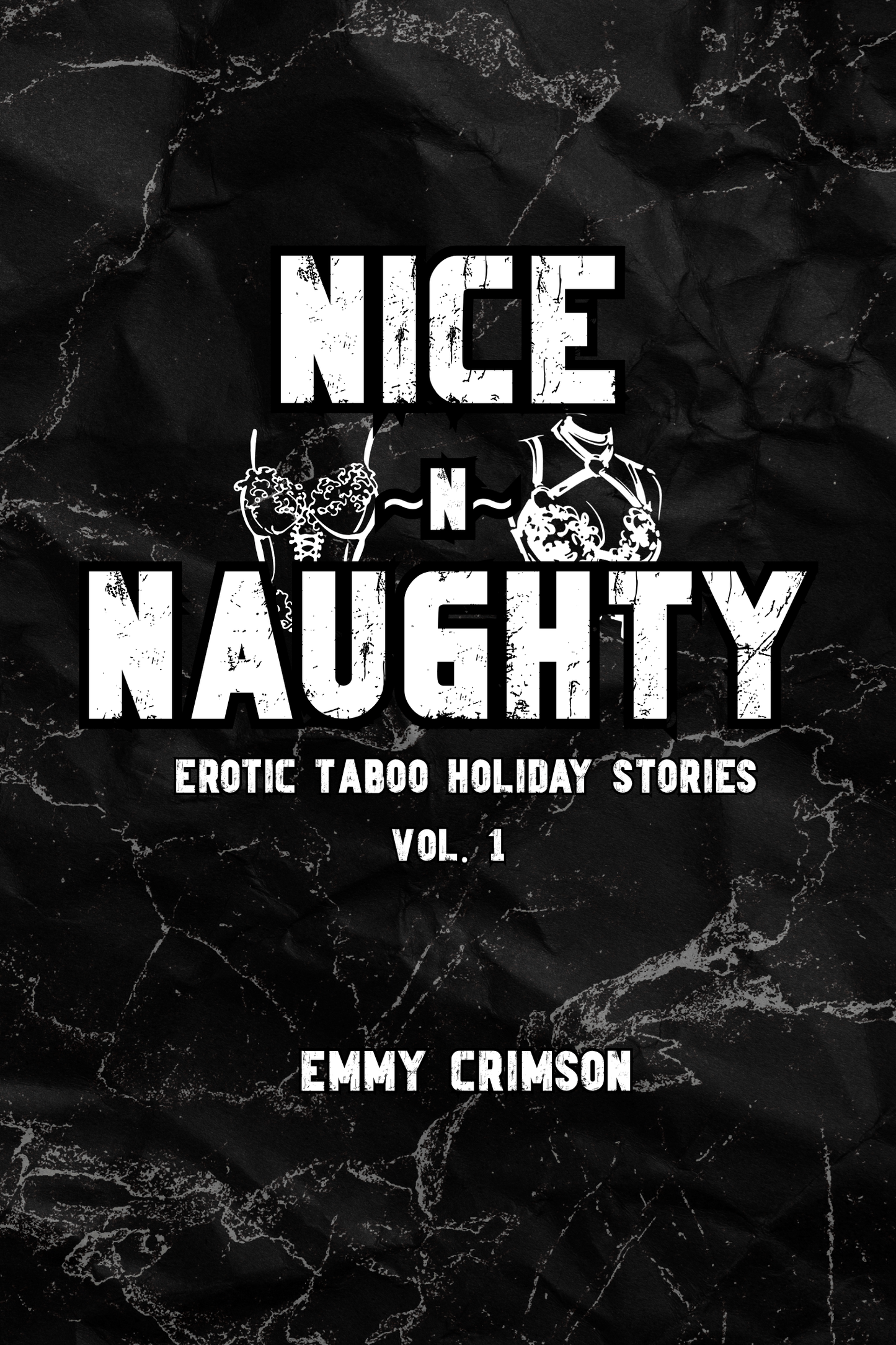 Nice ~N~ Naughty Erotic Taboo Holiday Stories Vol.1 Ebook